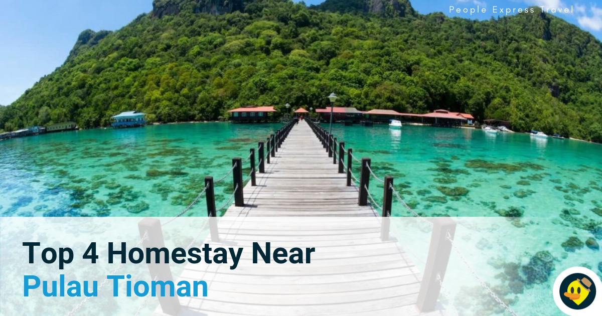 Top 4 Homestay Near Pulau Tioman Featured Image